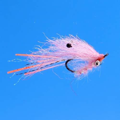 EP Ghost Shrimp Pink #6