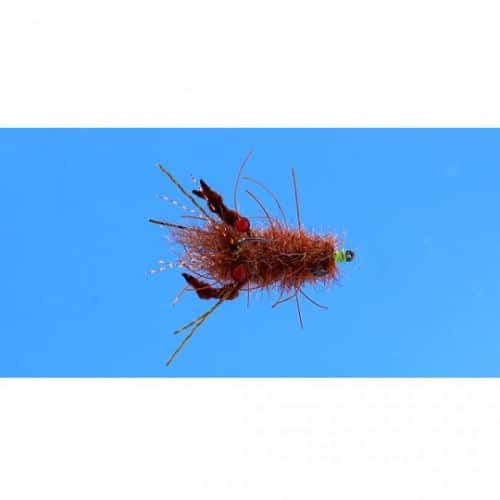 EP Crayfish Brown #4