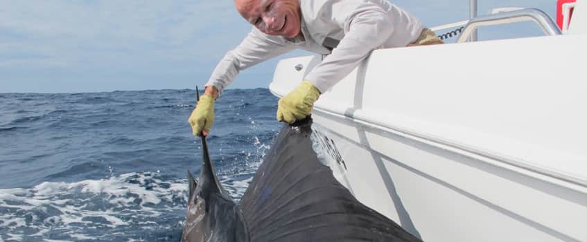 gene-sailfish Gene Sailfish