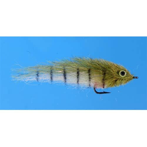 EP Little Minnow Shaded Golden