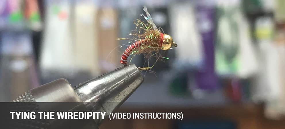 Tying the Wiredipity trout nymph