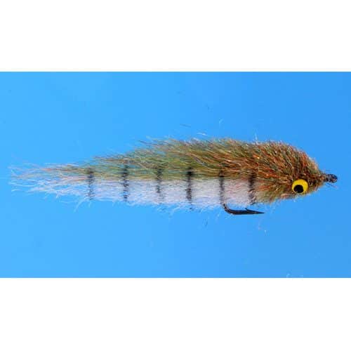 EP Little Minnow Shaded Back Country Lead Eyes