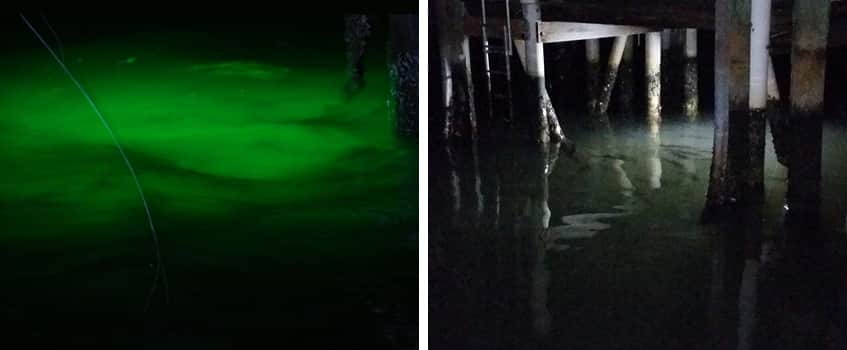 types-of-dock-lights Snook in dock lights