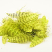 Grizzly Mini Marabou - Chartreuse