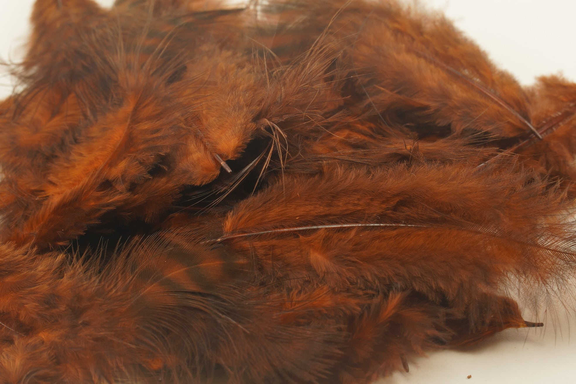 Grizzly Mini Marabou Ole Florida Fly Shop