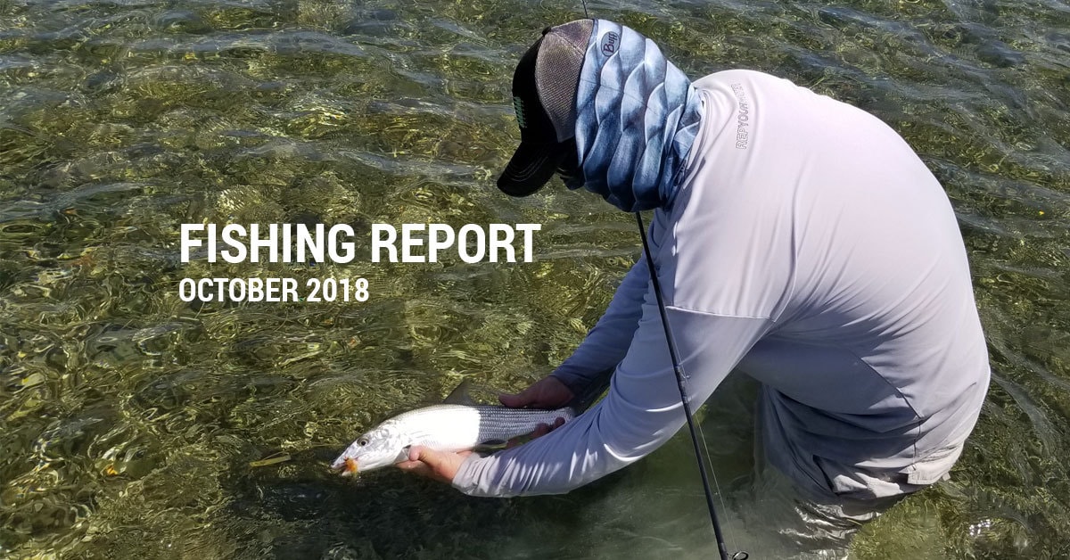 Fishing Report October 2018 bonefish
