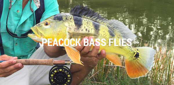 Peacock Bass flies