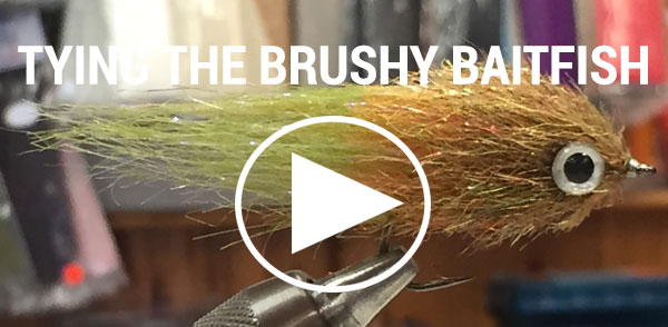 Brushy Baitfish video