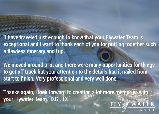 Fly Water Travel Testimonial
