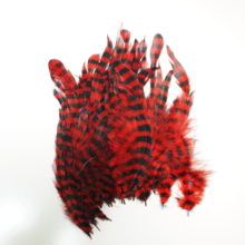 Barred Schlappen - Red/Blk