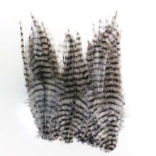 Barred Saddle Hackle - Grey/Blk