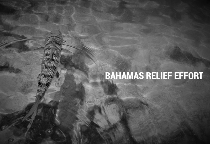 Bahamas Relief Effort