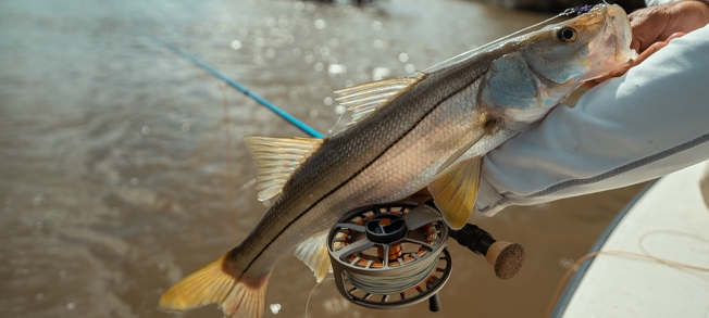TFO Axiom 2 X with Snook