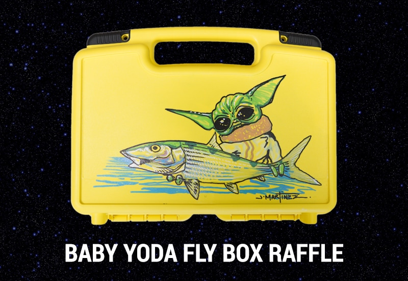 Baby Yoda Fly Box Raffle