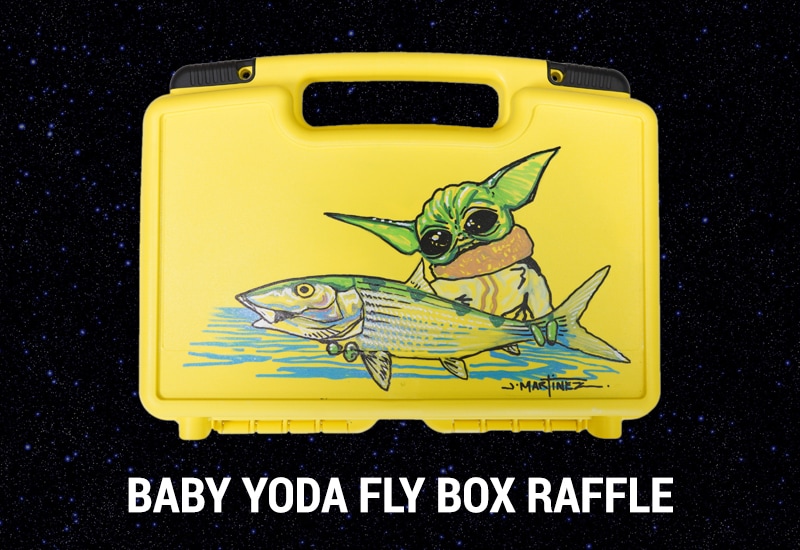 Baby Yoda Fly Box Raffle Baby Yoda Fly Box Raffle