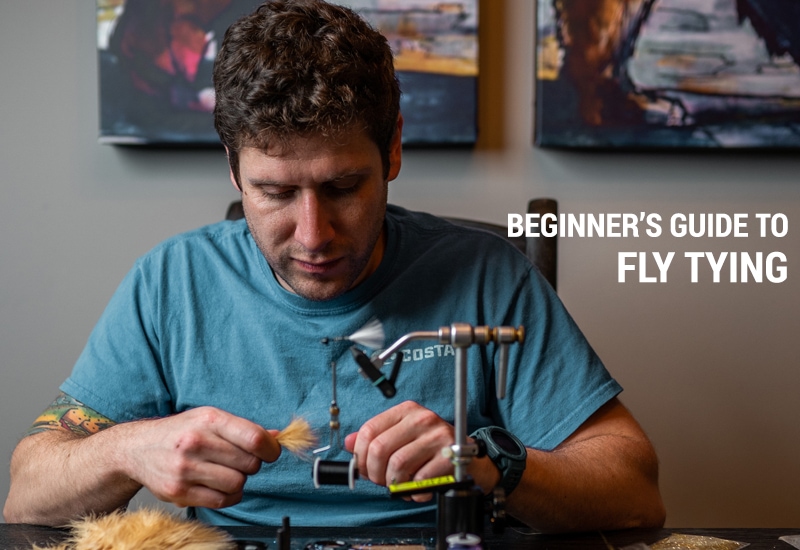 Beginner's Guide to Fly Tying