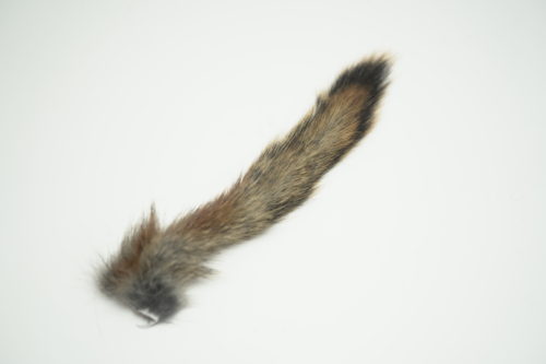 Squirrel Tail Pine