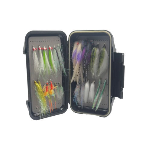 Beach Snook Box - Image 3