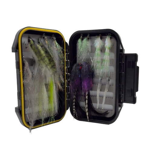 Beach Snook Box - Image 3