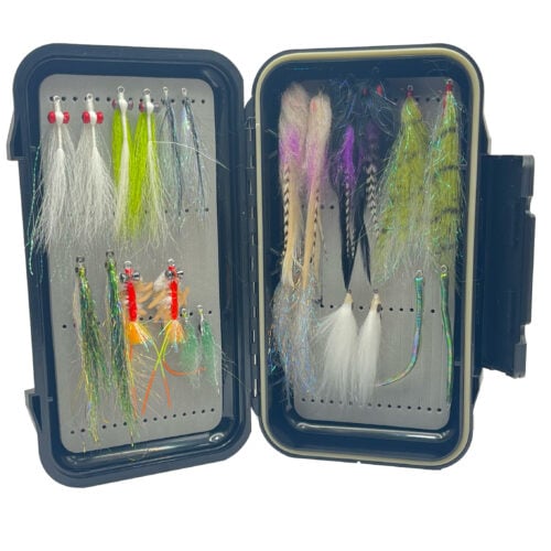 Beach Snook Box - Image 2