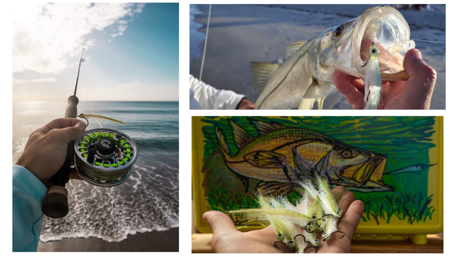 In The Trough Fly Fishing For Beach Snook Ole Florida Fly Shop