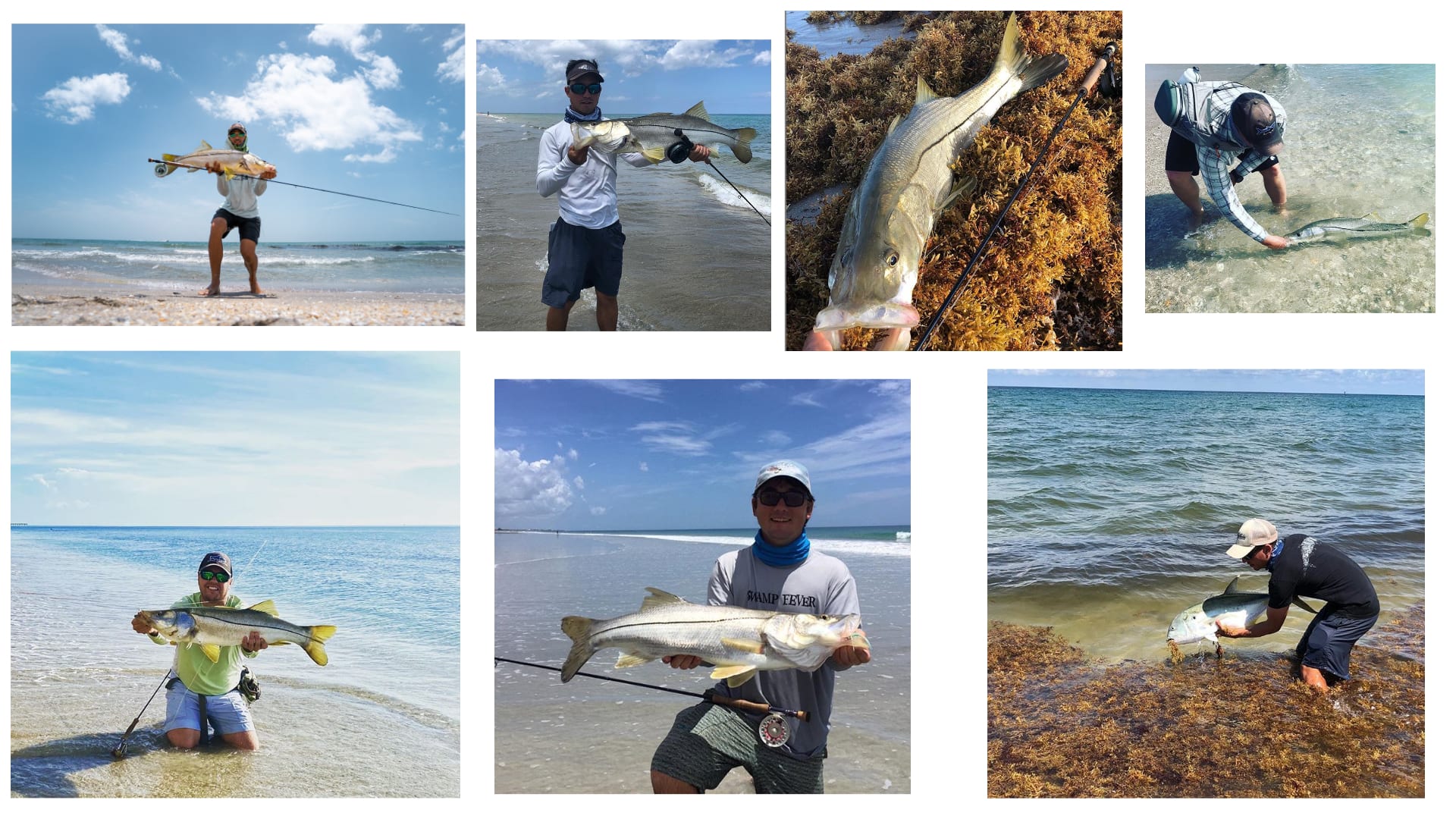 In The Trough: Fly Fishing For Beach Snook