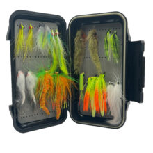 South Florida Peacock Bass Box - Large