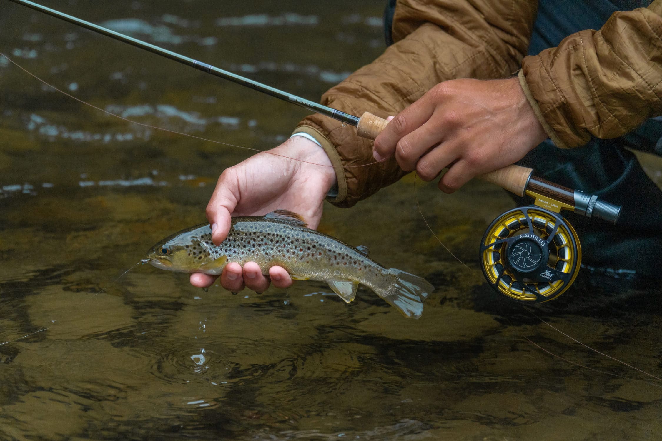 The All-Around 5-Weight Fly Rod Buyer's Guide - Trident Fly Fishing