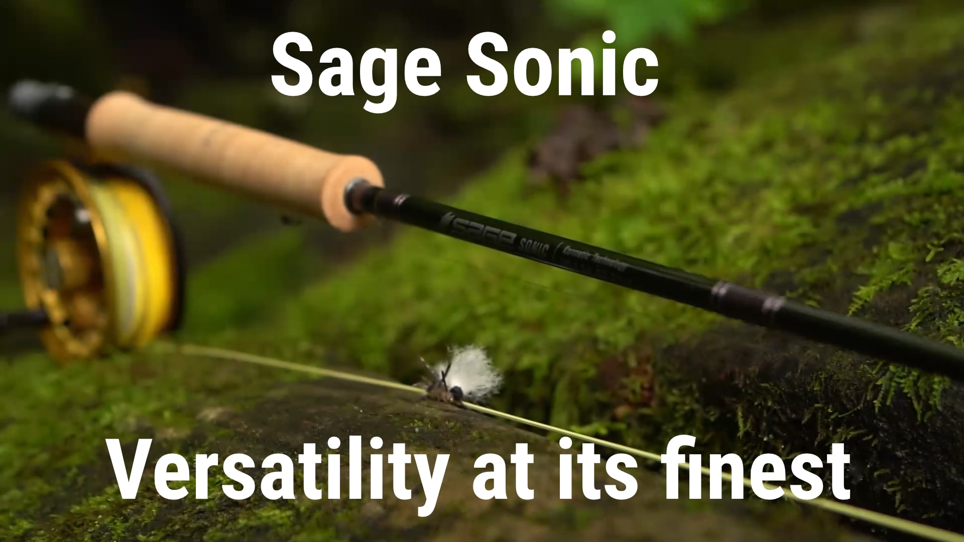 FREE 2 DAY SHIPPING Sage Sonic 9 FT 4 WT  Fly Rod FREE FLY LINE 