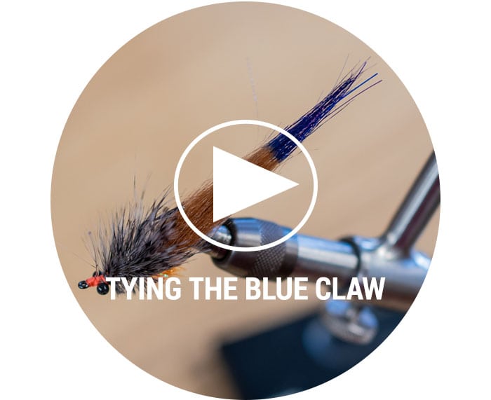 Tying the Blue Claw