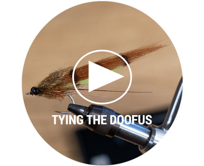 Giacobbas Doofus Tying Video
