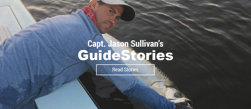 Jason Sullivans GuideStories