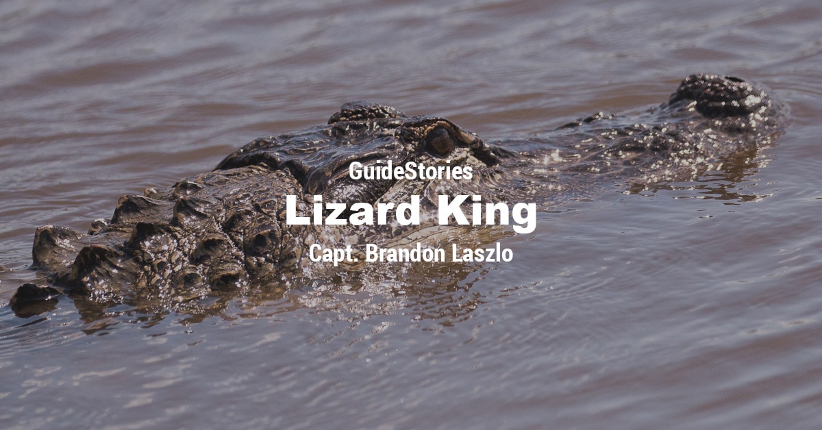 Lizard King GuideStory