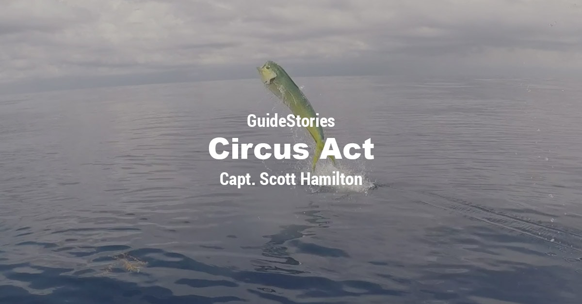 Scott Hamilton Circus Act