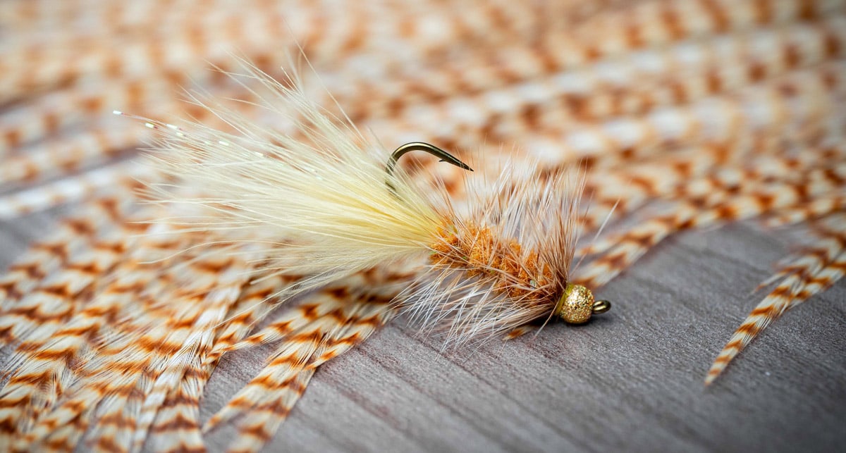 Ewing Dry Fly for Wooly Bugger