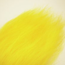 Icelandic Sheep - Yellow