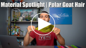 Polar Goat Spotlight