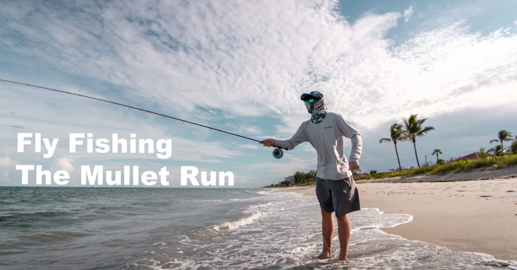 Fly Fishing The Mullet Run Ole Florida Fly Shop