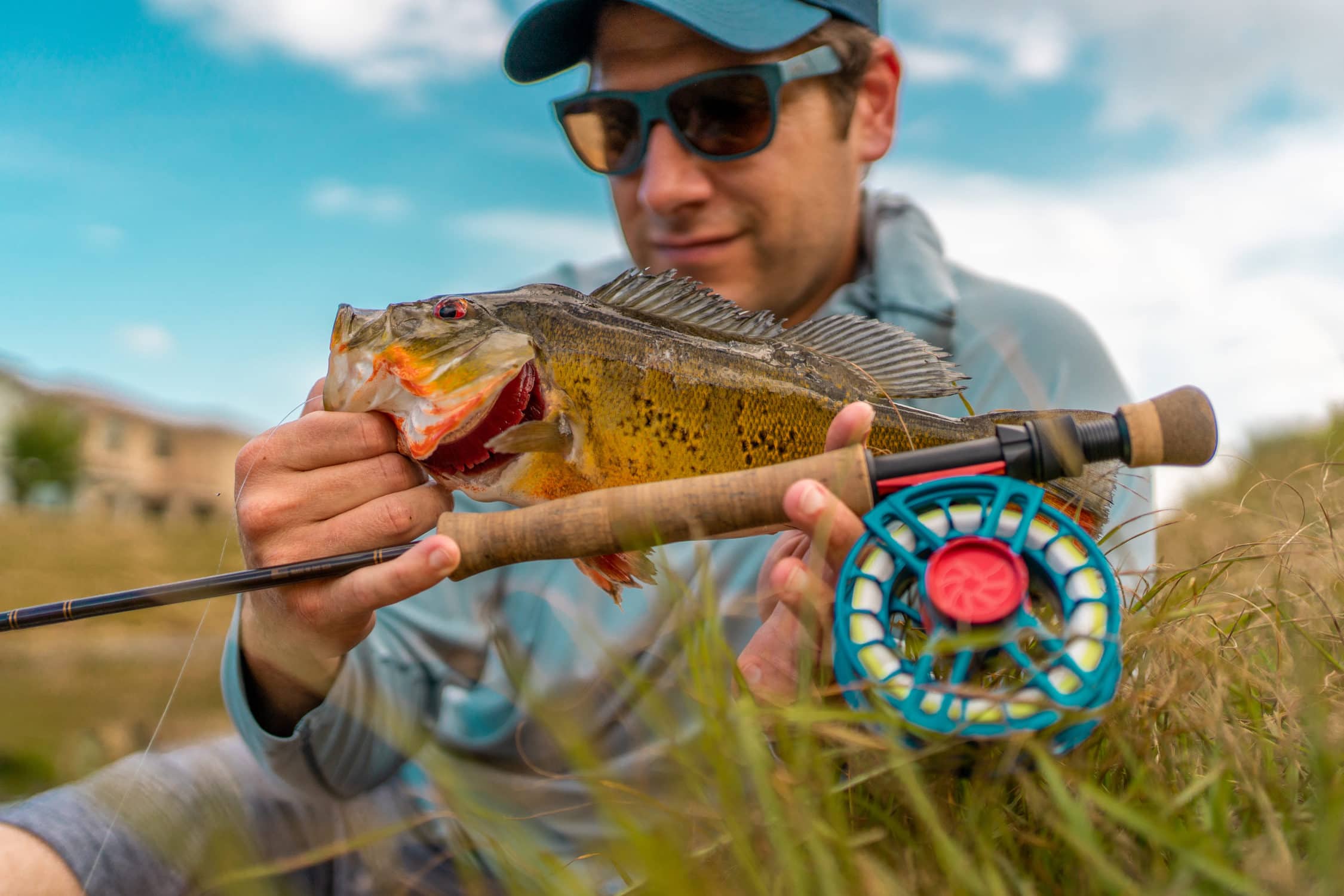 Fly Fishing South Florida Peacock Bass