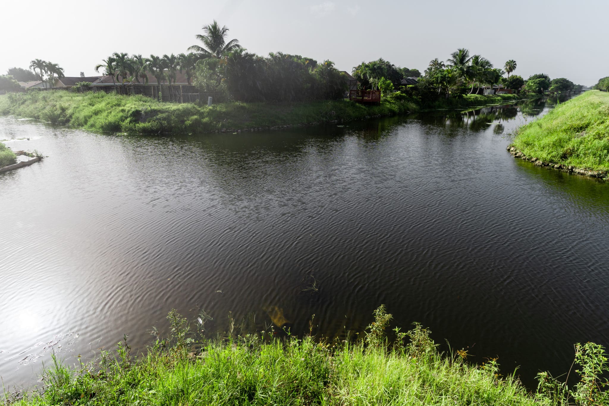 Fly Fishing South Florida Peacock Bass Ole Florida Fly Shop