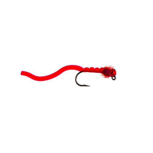 Red Squirmy Worm