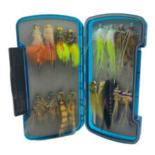 Louisiana Redfish Box