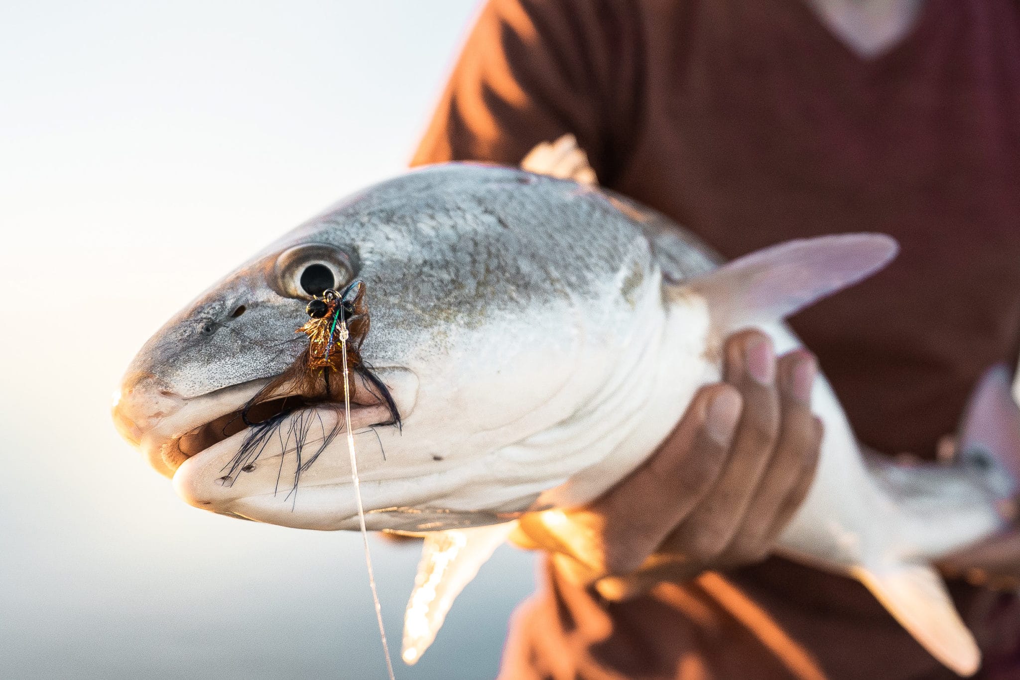 Fly Fishing Flies Premium Flies For Fly Fishing Ole Florida Fly Shop