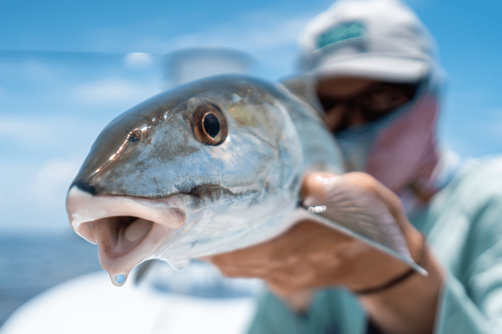 Fly Fishing Flies Premium Flies For Fly Fishing Ole Florida Fly Shop