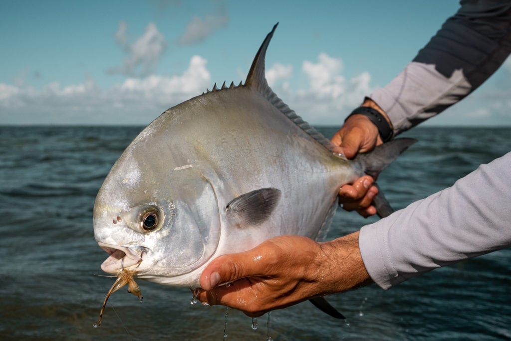 Fly Fishing Flies Premium Flies For Fly Fishing Ole Florida Fly Shop