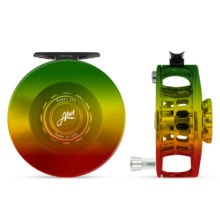 Rasta solid 9/10