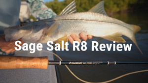 Sage Salt R8 Review