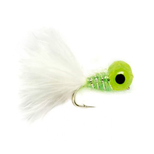 Big-Eyed Panfish Bug - Image 2