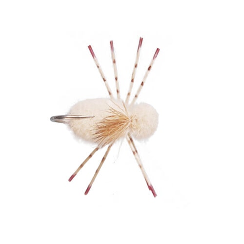 Belize Crab - Image 3