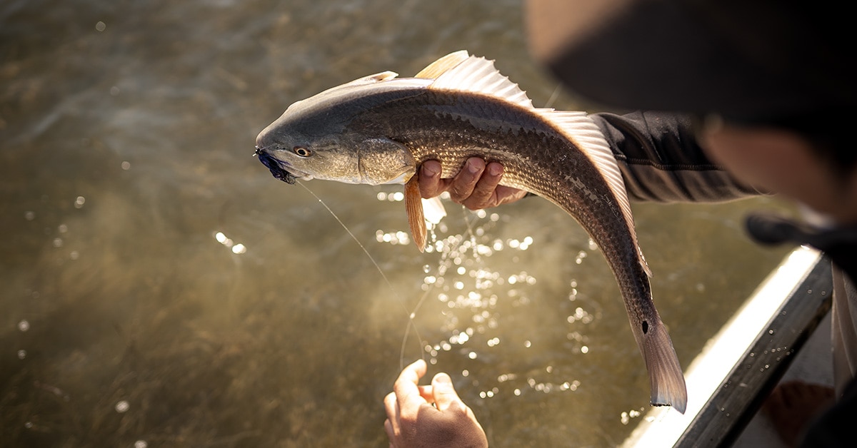 Our Top 10 Redfish Flies